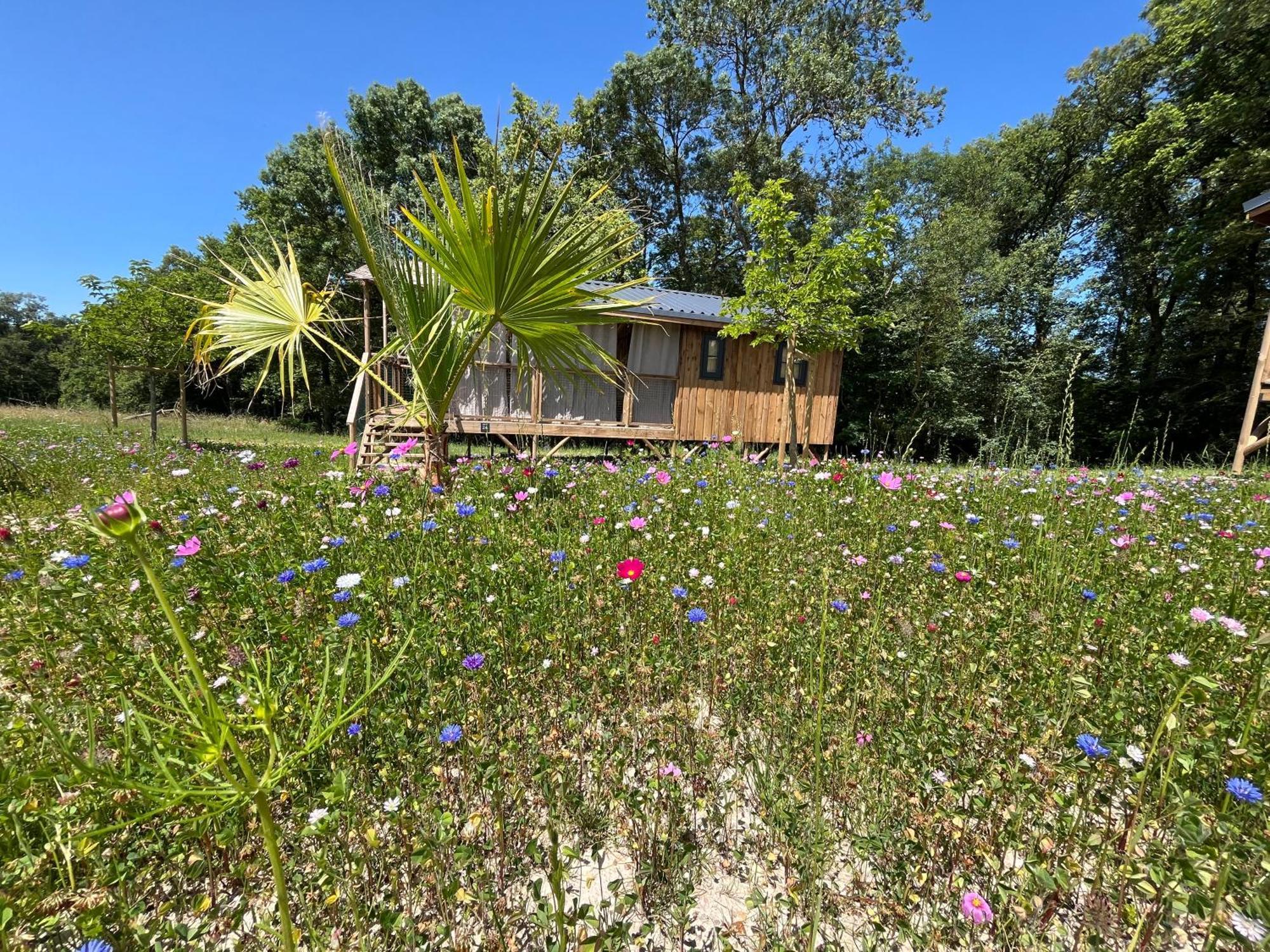La Buissonnière - Lodges&SPA Chisseaux Esterno foto