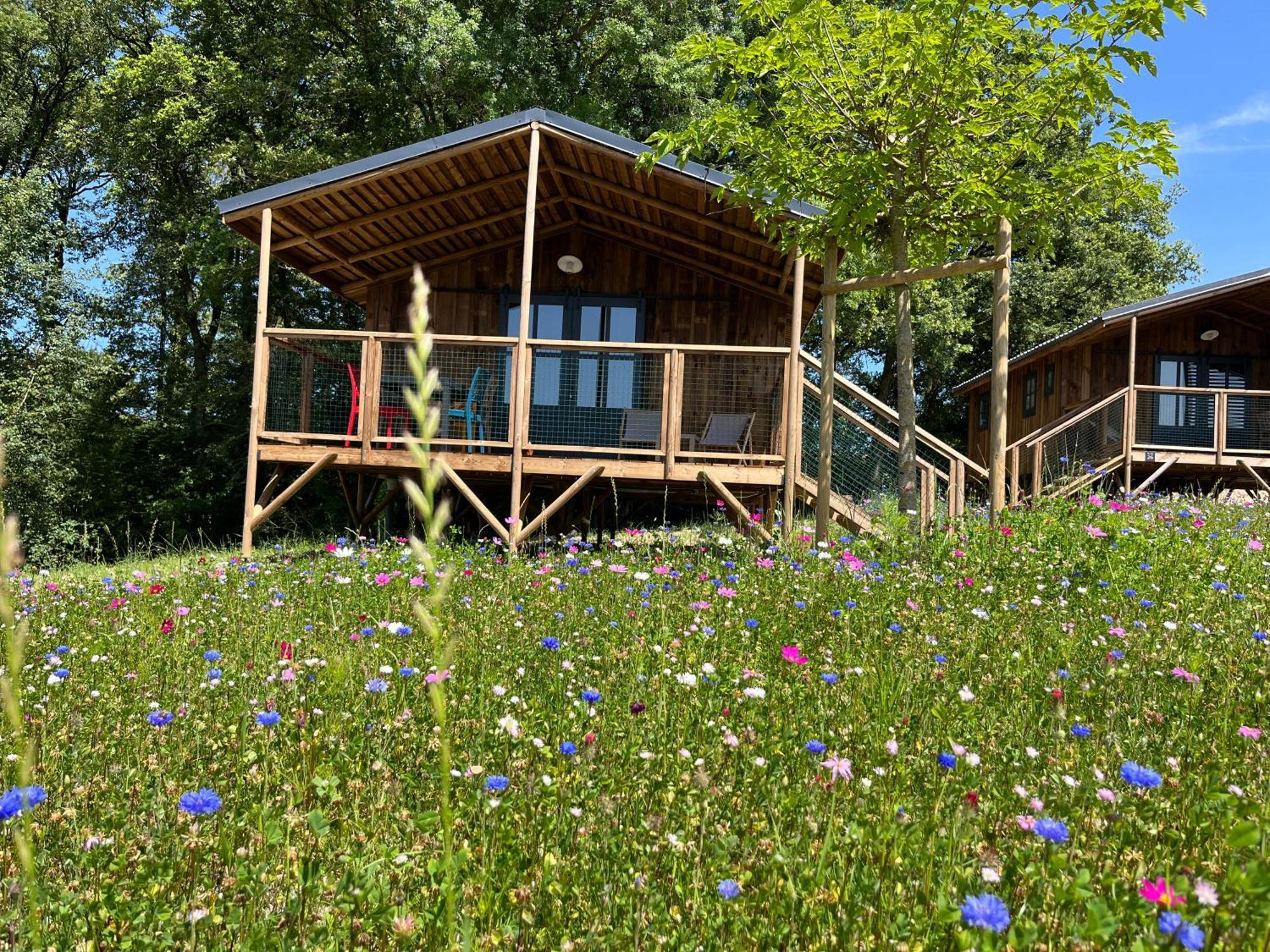 La Buissonnière - Lodges&SPA Chisseaux Esterno foto